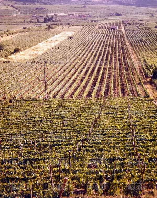 Panorama dei Castelli Romani, Lazio, anni 60