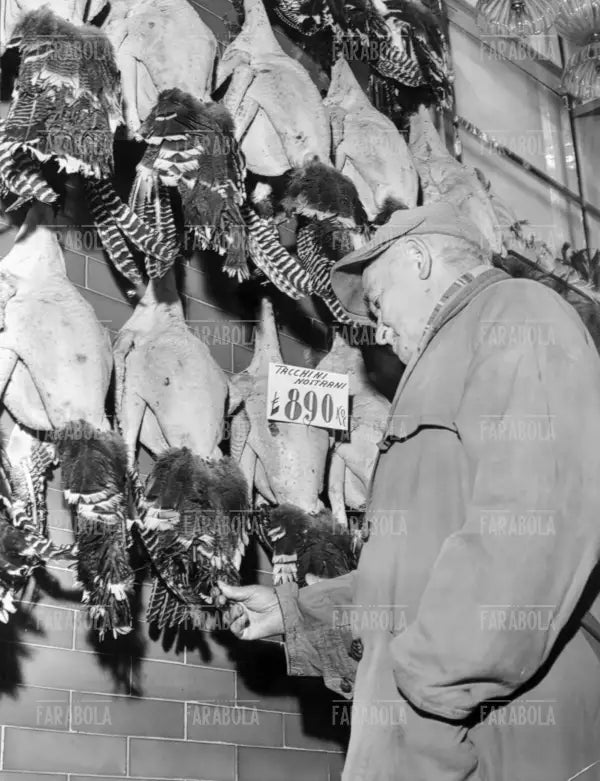 Negozio di alimentari, Milano, anni 60