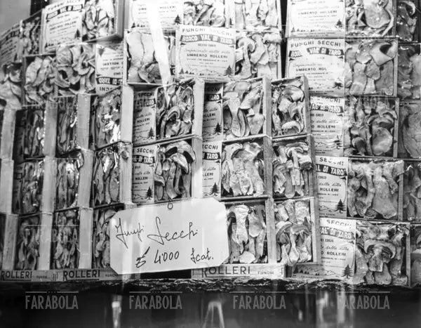Negozio di alimentari, Milano, anni 60