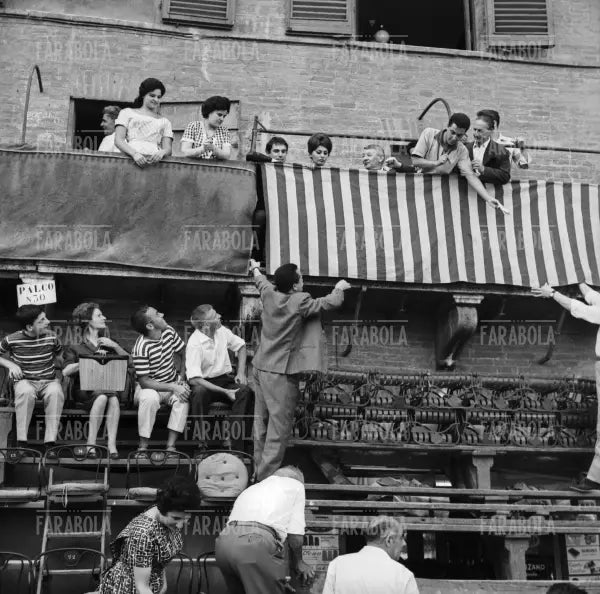 Sophia Loren e Robert Hossein, Palio di Siena, 1961