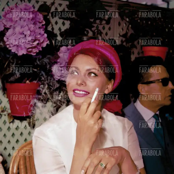 Sophia Loren, Festival di Cannes, 1962