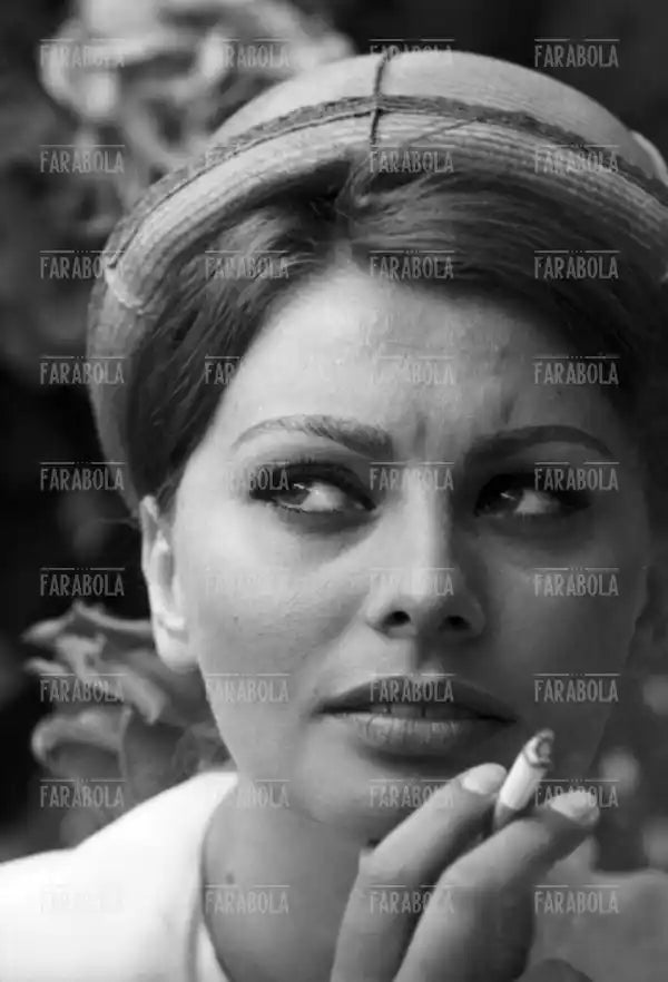 Sophia Loren, Festival di Cannes, 1962