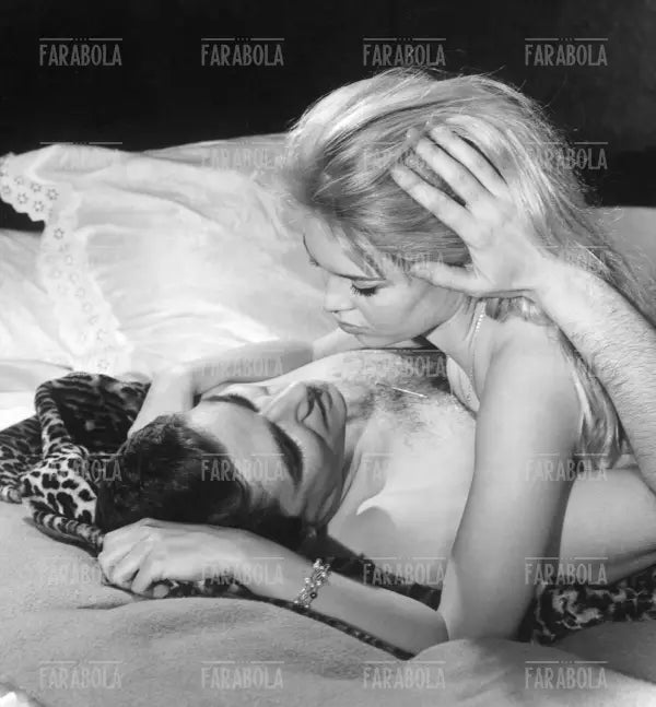 Brigitte Bardot, Film Il riposo del guerriero, 1962
