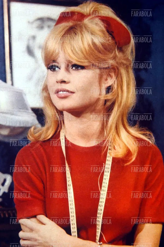 Brigitte Bardot, Film Un'adorabile idiota, 1963