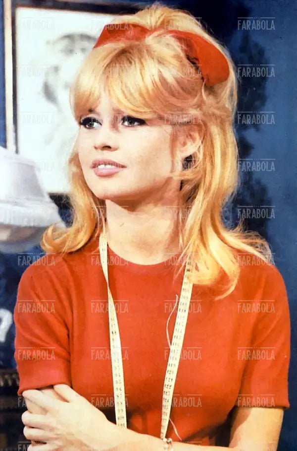 Brigitte Bardot, Film Un'adorabile idiota, 1964