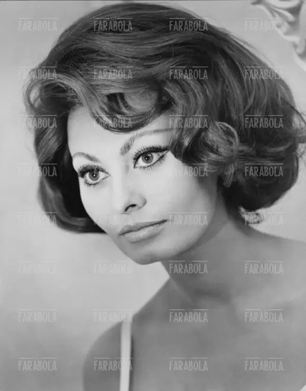 Sophia Loren, Film La contessa di Hong Kong, 1966