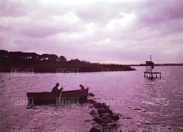Il lago di Massaciuccoli da Villa Puccini, Torre del Lago Puccini, 1967