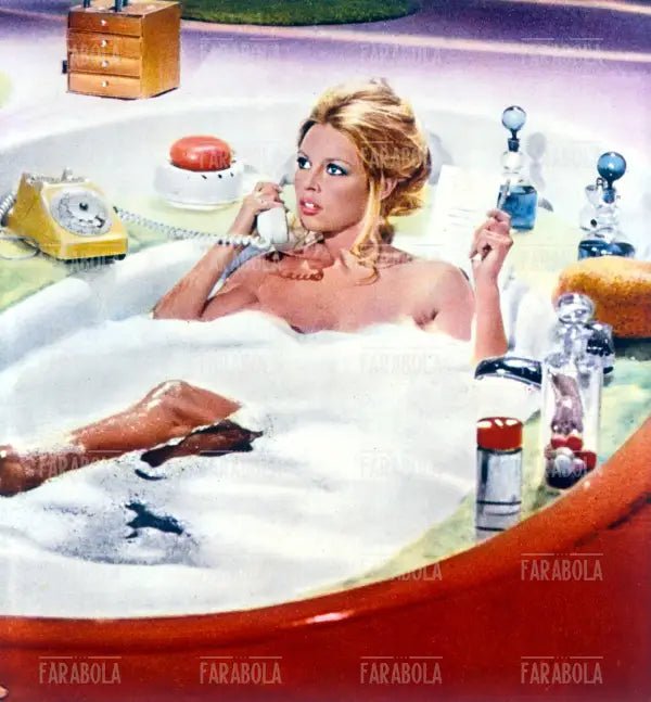 Brigitte Bardot, Film L'orso e la bambola, 1969