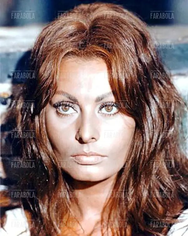 Sophia Loren, anni 70