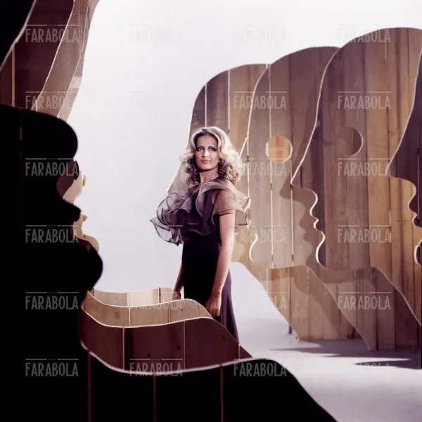 Mina, anni 70