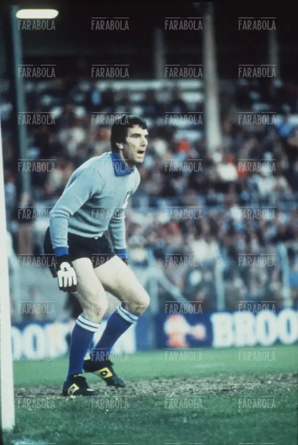 Dino Zoff, Nazionale Italiana, anni 70