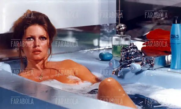 Brigitte Bardot, Film Una donna come me, 1973