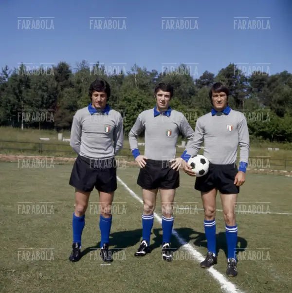 Luciano Castellini, Dino Zoff ed Enrico Albertosi, portieri della Nazionale, 1974