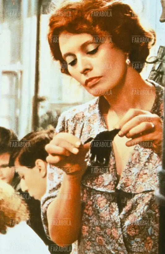 Sophia Loren, Film Una giornata particolare, 1977
