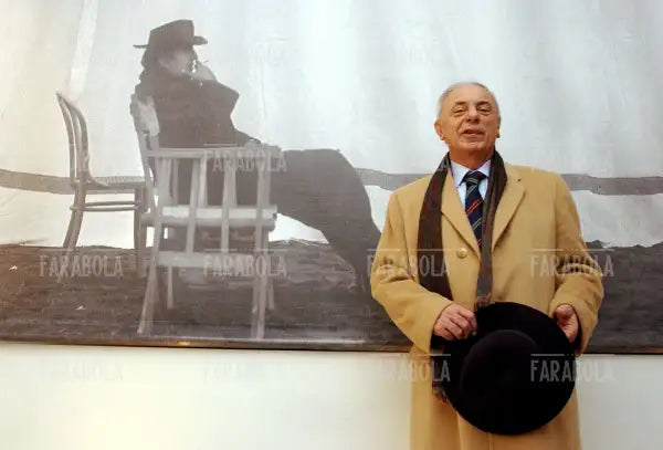 Vittorio Boarini, Museo Fellini, 2003