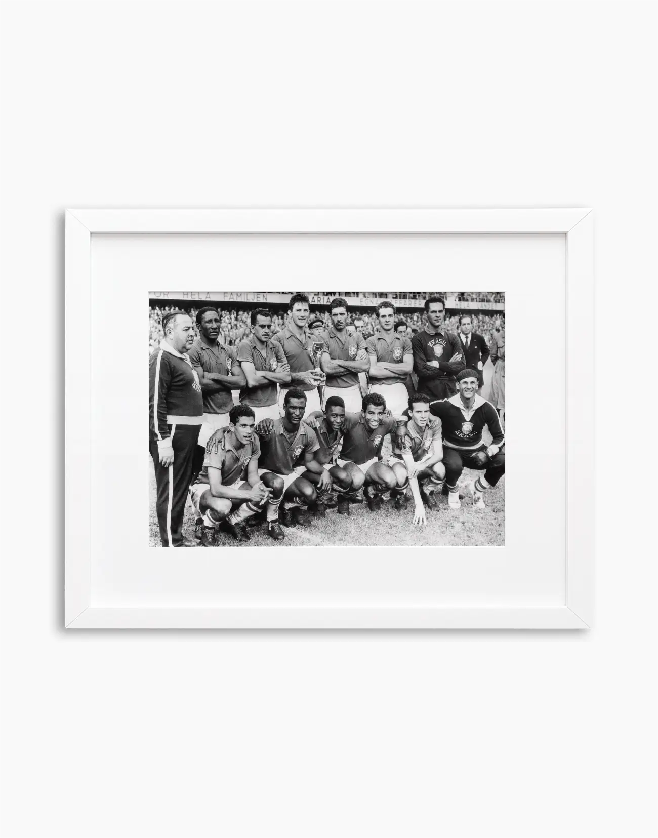 Il Brasile campione del mondo, 1958