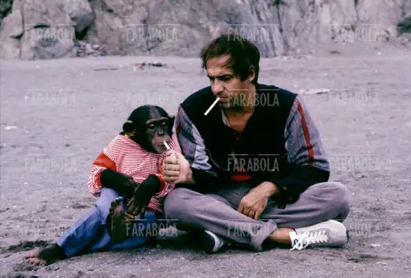 Adriano Celentano nel film Bingo Bongo, 1982 - Farabola Immagine digitale