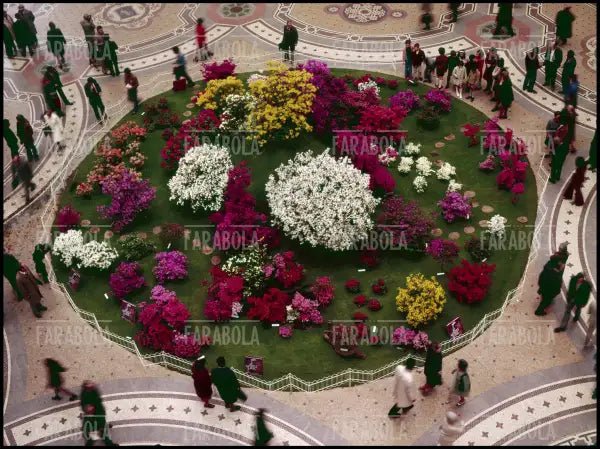 Aiula di fiori in Galleria Vittorio Emanuele II, Milano, anni 60 - Farabola Immagine digitale
