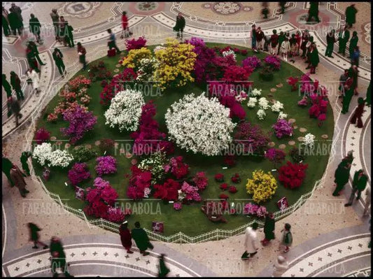Aiula di fiori in Galleria Vittorio Emanuele II, Milano, anni 60 - Farabola Immagine digitale