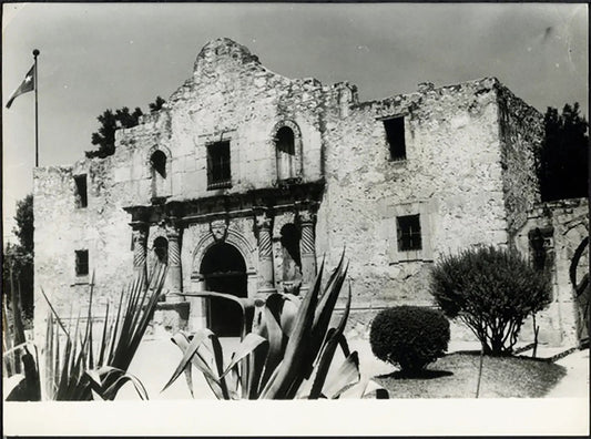 Alamo in Texas anni 50 Ft 37949 - Stampa 24x18 cm - Farabola Stampa ai sali d'argento