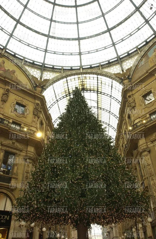 Albero di Natale in Galleria Vittorio Emanuele II, Milano, 2004 - Farabola Immagine digitale