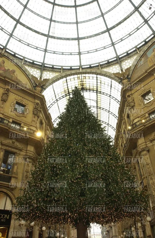 Albero di Natale in Galleria Vittorio Emanuele II, Milano, 2004 - Farabola Immagine digitale