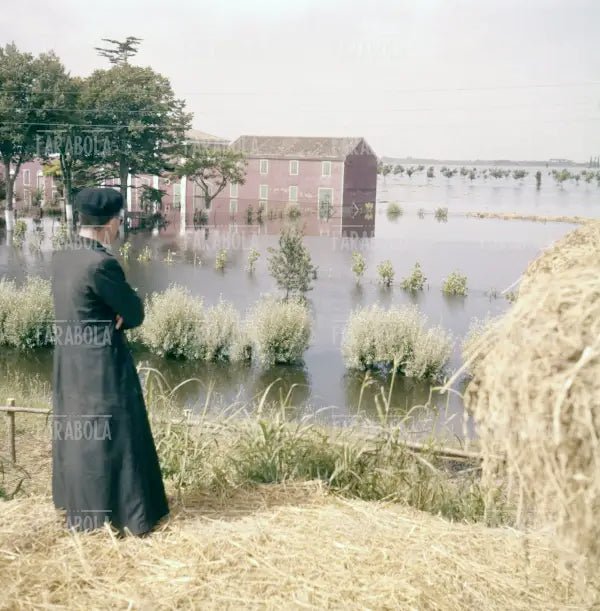 Allagamenti nel Polesine, 1957 - Farabola Immagine digitale