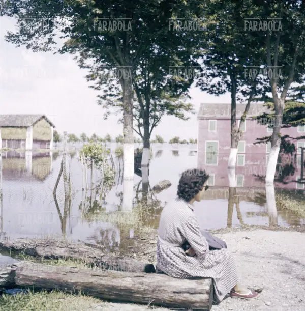 Allagamenti nel Polesine, 1957 - Farabola Immagine digitale