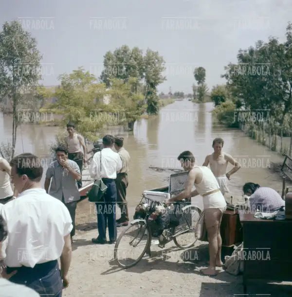 Allagamenti nel Polesine, 1957 - Farabola Immagine digitale