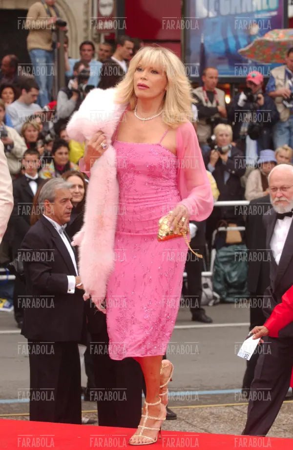 Amanda Lear, Festival di Cannes, 2004 - Farabola Immagine digitale