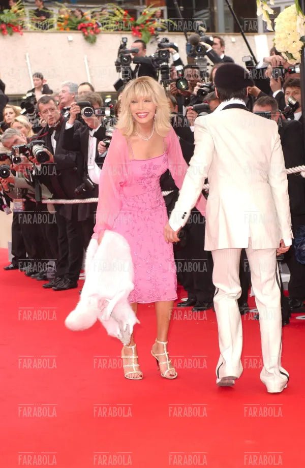 Amanda Lear, Festival di Cannes, 2004 - Farabola Immagine digitale