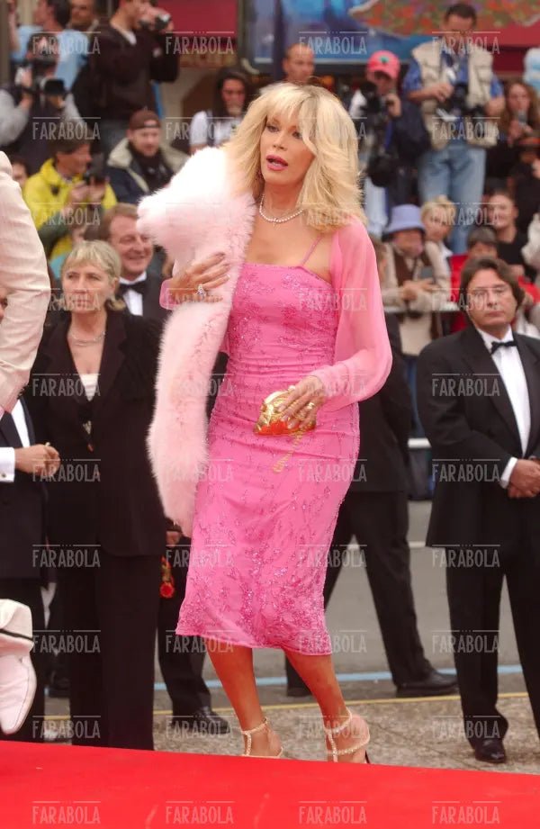 Amanda Lear, Festival di Cannes, 2004 - Farabola Immagine digitale