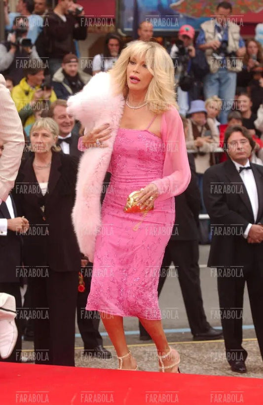 Amanda Lear, Festival di Cannes, 2004 - Farabola Immagine digitale