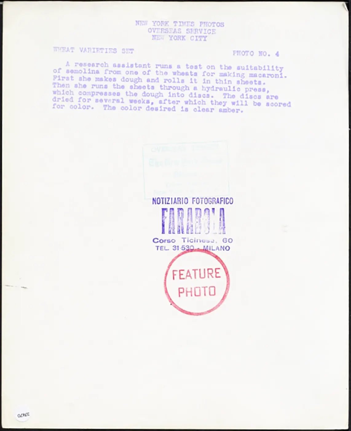 Analisi della semola per maccheroni Ft 37470 - Stampa 20x25 cm - Farabola Stampa ai sali d'argento