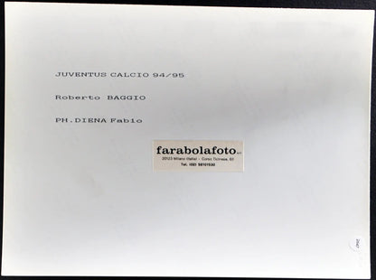 Baggio Juventus 1994-1995 Ft 2647 - Stampa 24x18 cm - Farabola Stampa ai sali d'argento