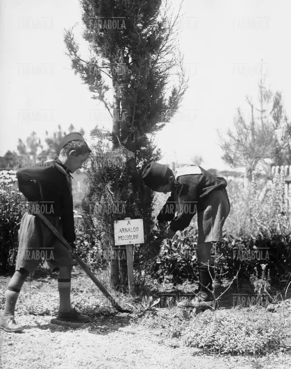 Balilla lavorano per la Festa degli Alberi, Roma, 1936 - Farabola Immagine digitale