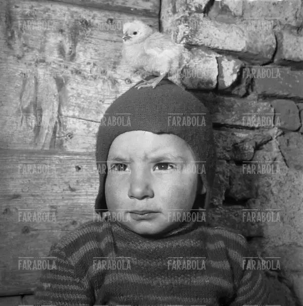 Bambino con pulcino a Rozzano, 1953 - Farabola Immagine digitale