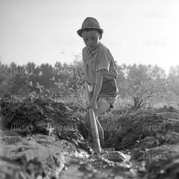 Bambino in campagna, Asti, 1962 - Farabola Immagine digitale