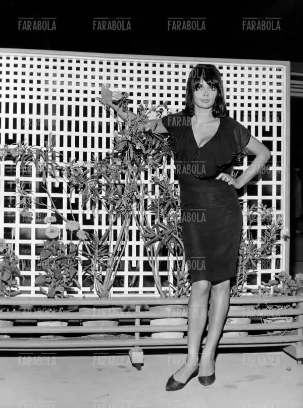 Barbara Steele, Festival di Venezia, 1962 - Farabola Immagine digitale