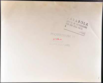 Beagle Università della California Ft 35393 - Stampa 30x40 cm - Farabola Stampa ai sali d'argento