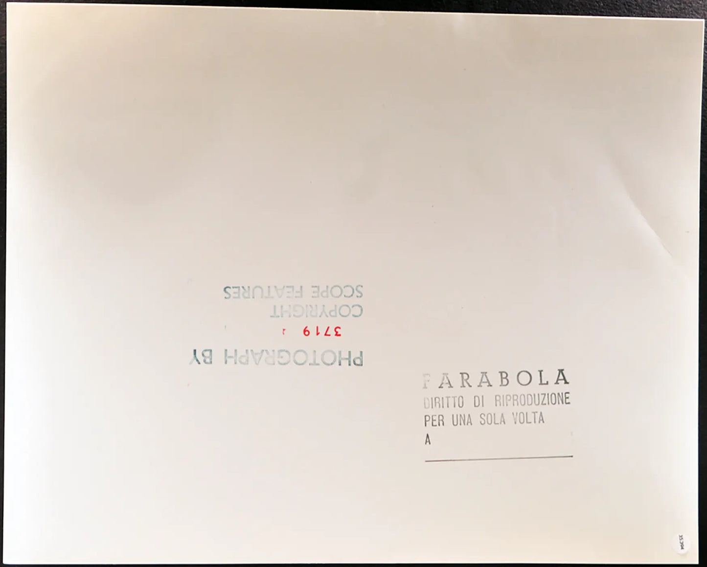 Beagle Università della California Ft 35394 - Stampa 30x40 cm - Farabola Stampa ai sali d'argento