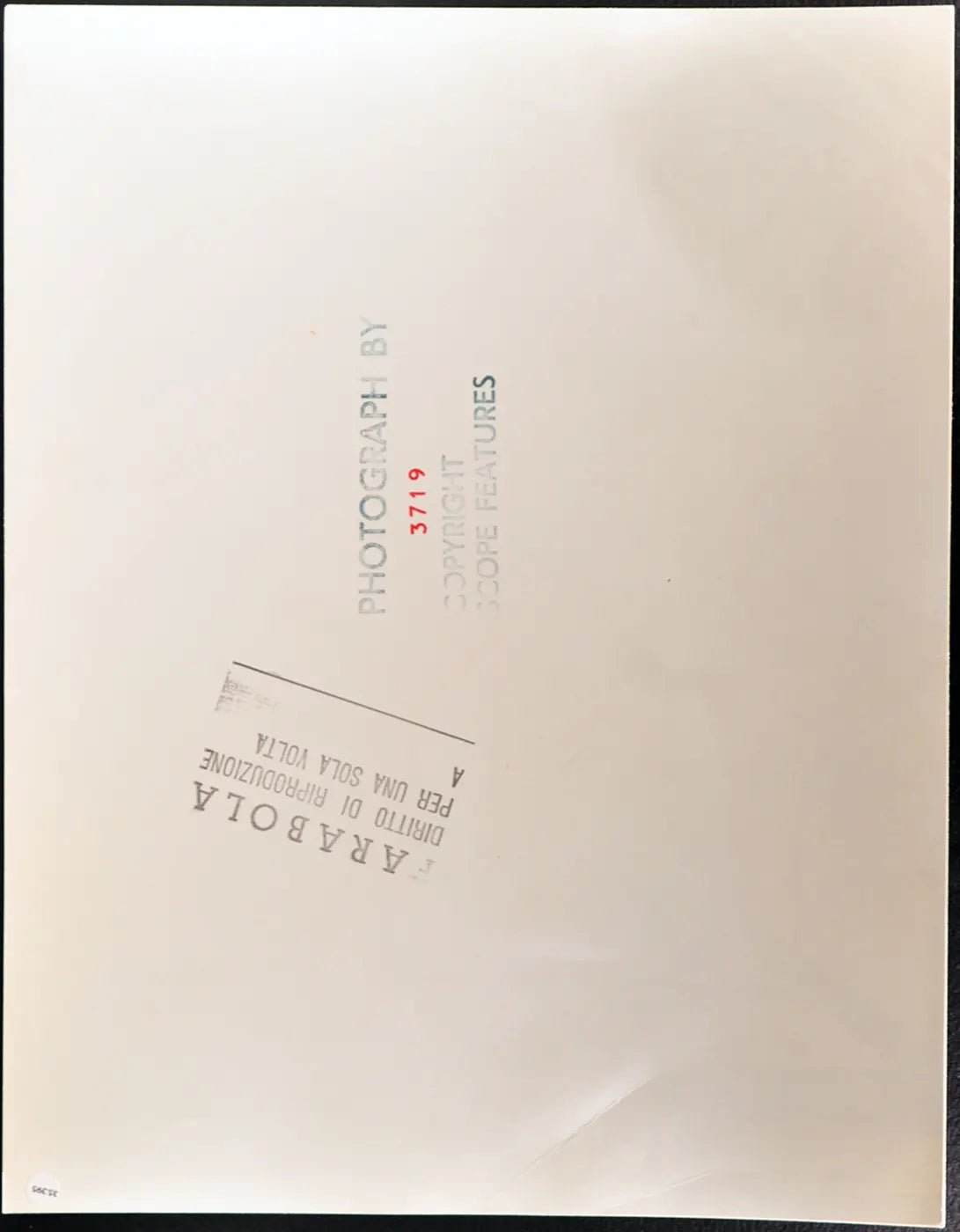 Beagle Università della California Ft 35395 - Stampa 30x40 cm - Farabola Stampa ai sali d'argento