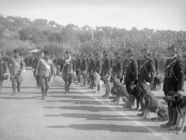 Benito Mussolini passa in rassegna le unità cinofile, Roma, 1931 - Farabola Immagine digitale