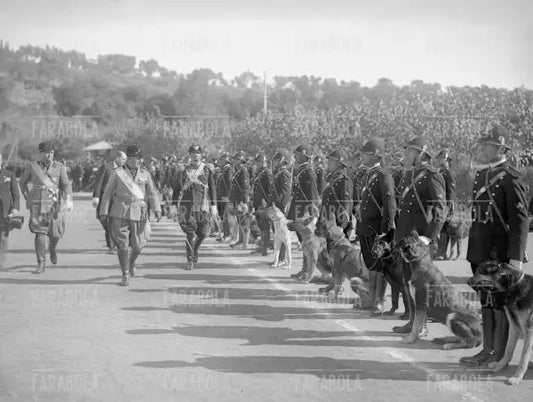 Benito Mussolini passa in rassegna le unità cinofile, Roma, 1931 - Farabola Immagine digitale