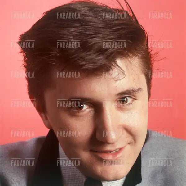 Bobby Solo, anni 60 - Farabola Immagine digitale