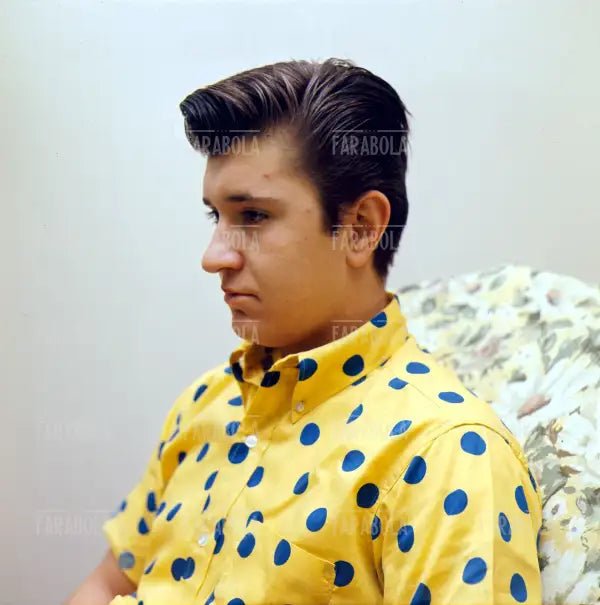 Bobby Solo, anni 60 - Farabola Immagine digitale