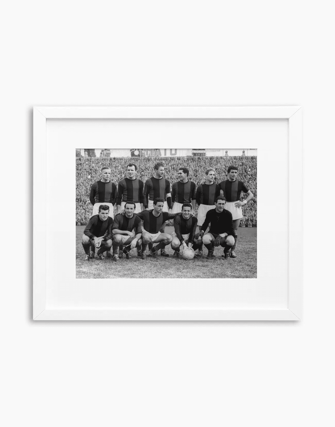 Bologna, Formazione, 1951 - Farabola WhiteWall App Product