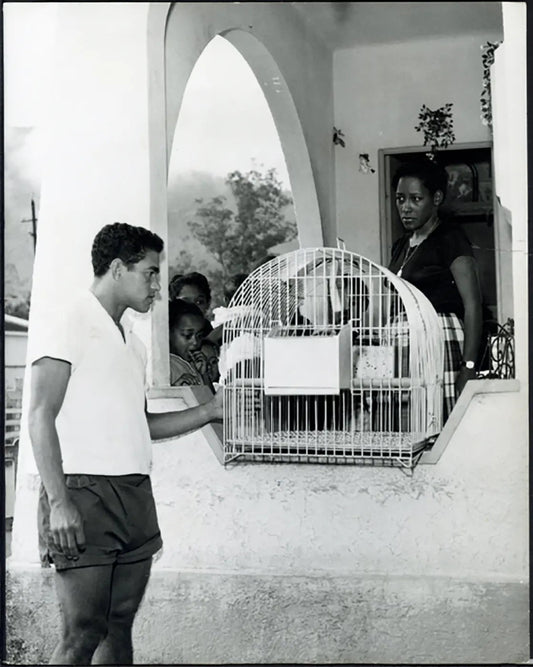 Brasile Garrincha a Rio anni 70 Ft 5442 - Stampa 21x27 cm - Farabola Stampa ai sali d'argento