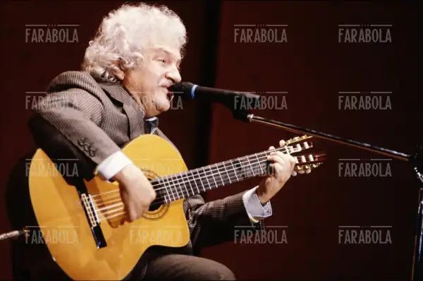 Bruno Lauzi, 1992 - Farabola Immagine digitale