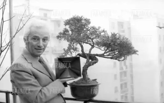 Bruno Munari, Milano, 1971 - Farabola Immagine digitale